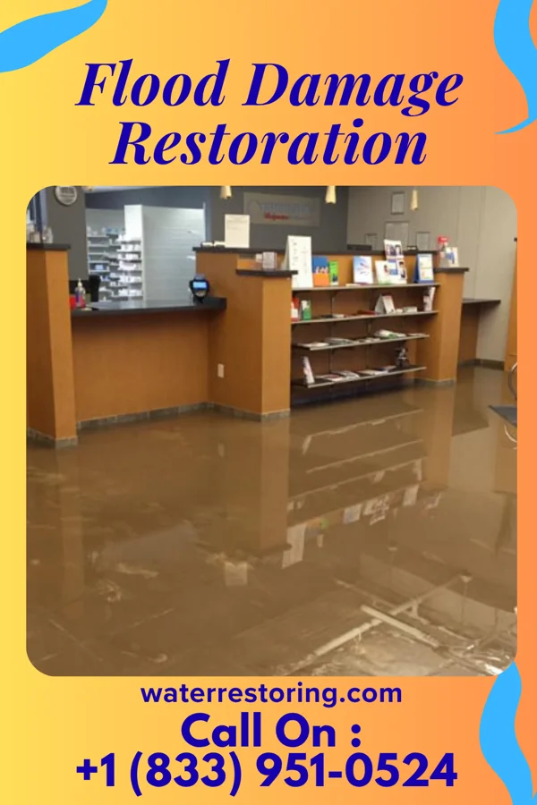 Flood Damage Restoration in Turin, GA